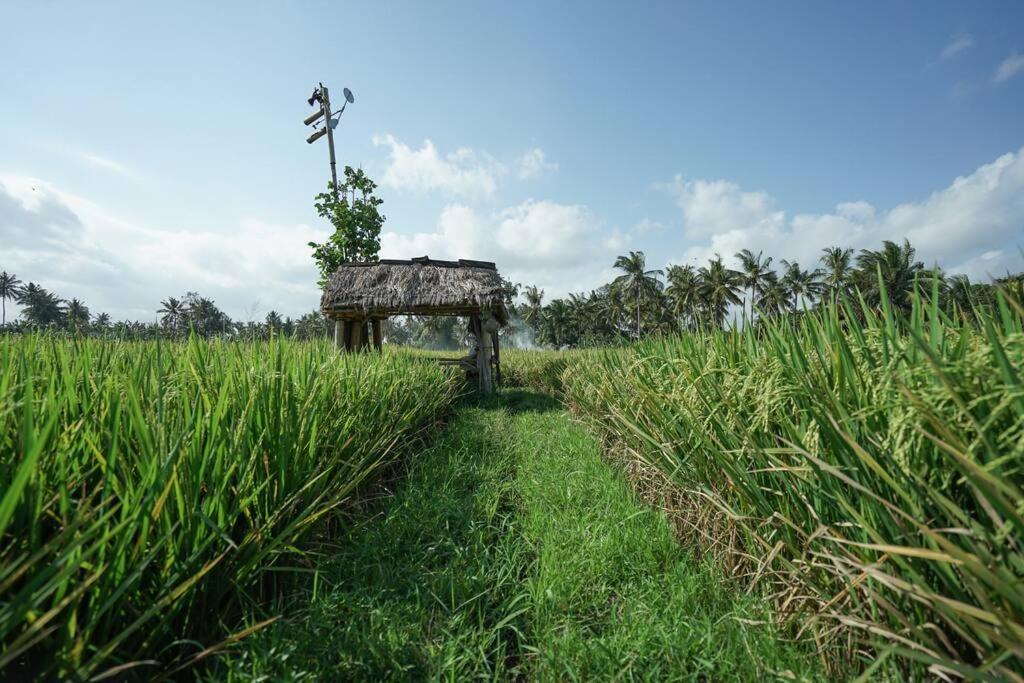 An Unique 3 Bdr Overlooking Rice Paddies Villa Ubud (Bali)